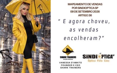 Mapeamento de Vendas l 36º Artigo – E agora, choveu: as vendas encolheram?